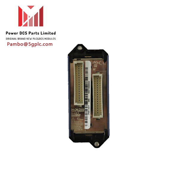 FOXBORO P0973G6P0D Module d'assemblage de terminaison tout neuf