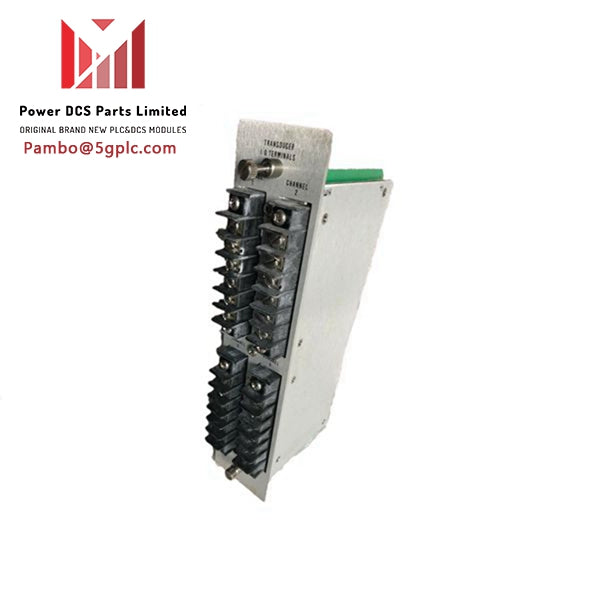 Modulo PLC Bently Nevada 71573 306-EL30